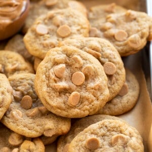 Stacks of Banana Peanut Butter Chip Cookies in Tray. Baking, Cookies, Cookie Exchange, Christmas Cookies, Banana Cookies, Peanut Butter Chip Cookies, How to Make Chewy Cookies, Soft Cookies, Elvis Cookies, Dessert, Cookie Recipes, i am baker, iambaker