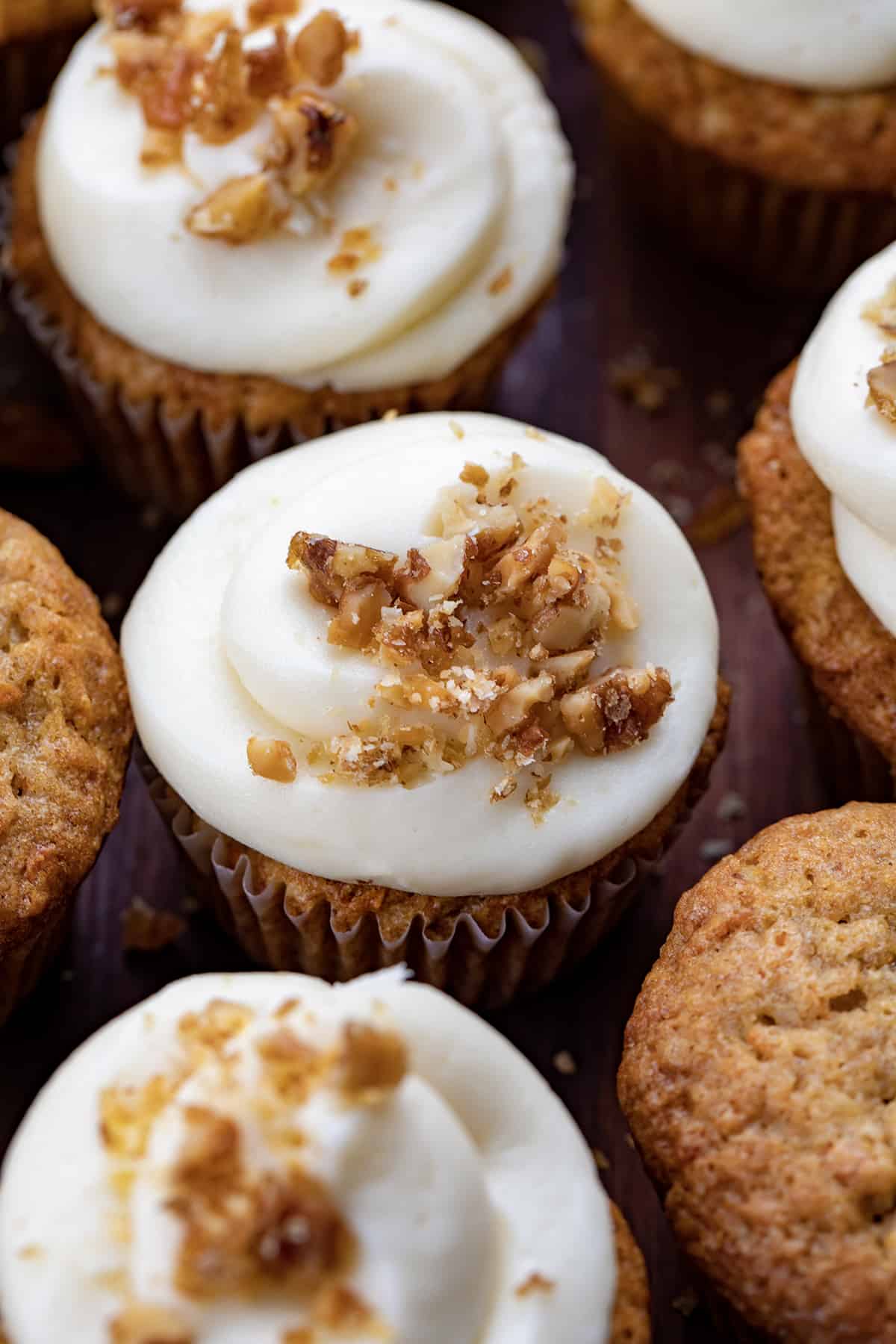 Close up of Carrot Cake Cupcake with Cream Cheese Frosting with Candied Walnuts.