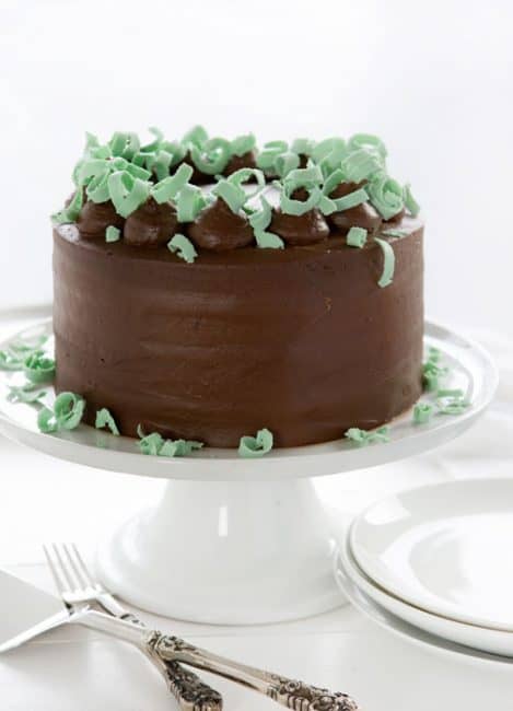 Mint Chocolate Cake