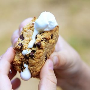 Graham Cracker Chocolate Chip Cookies~ Only Three Ingredients!